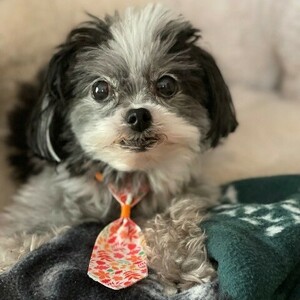 Fundraising Page: Cheryl Leader